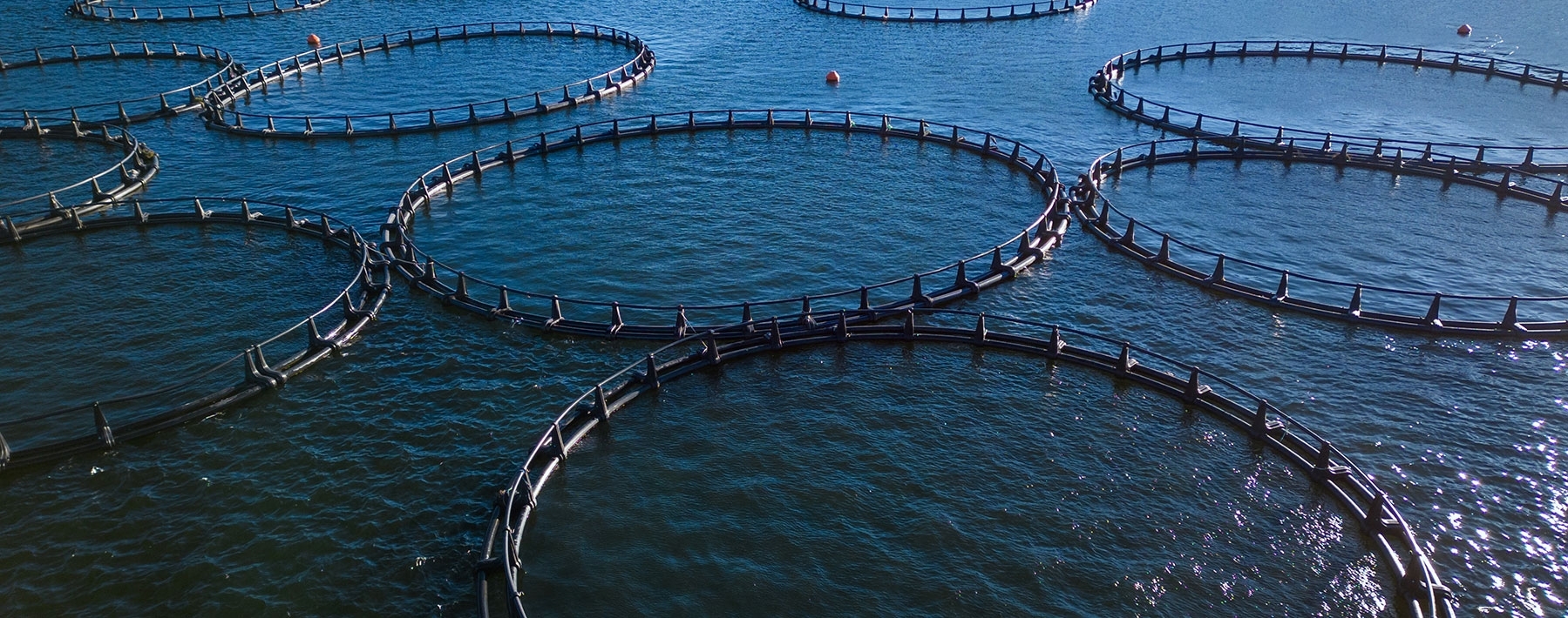 Aquaculture-slider-img (1)